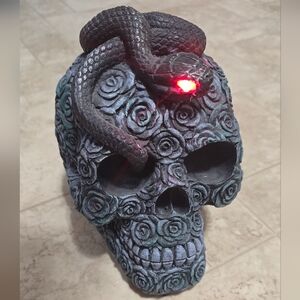 Decorative Skull with Snake and LED Light
